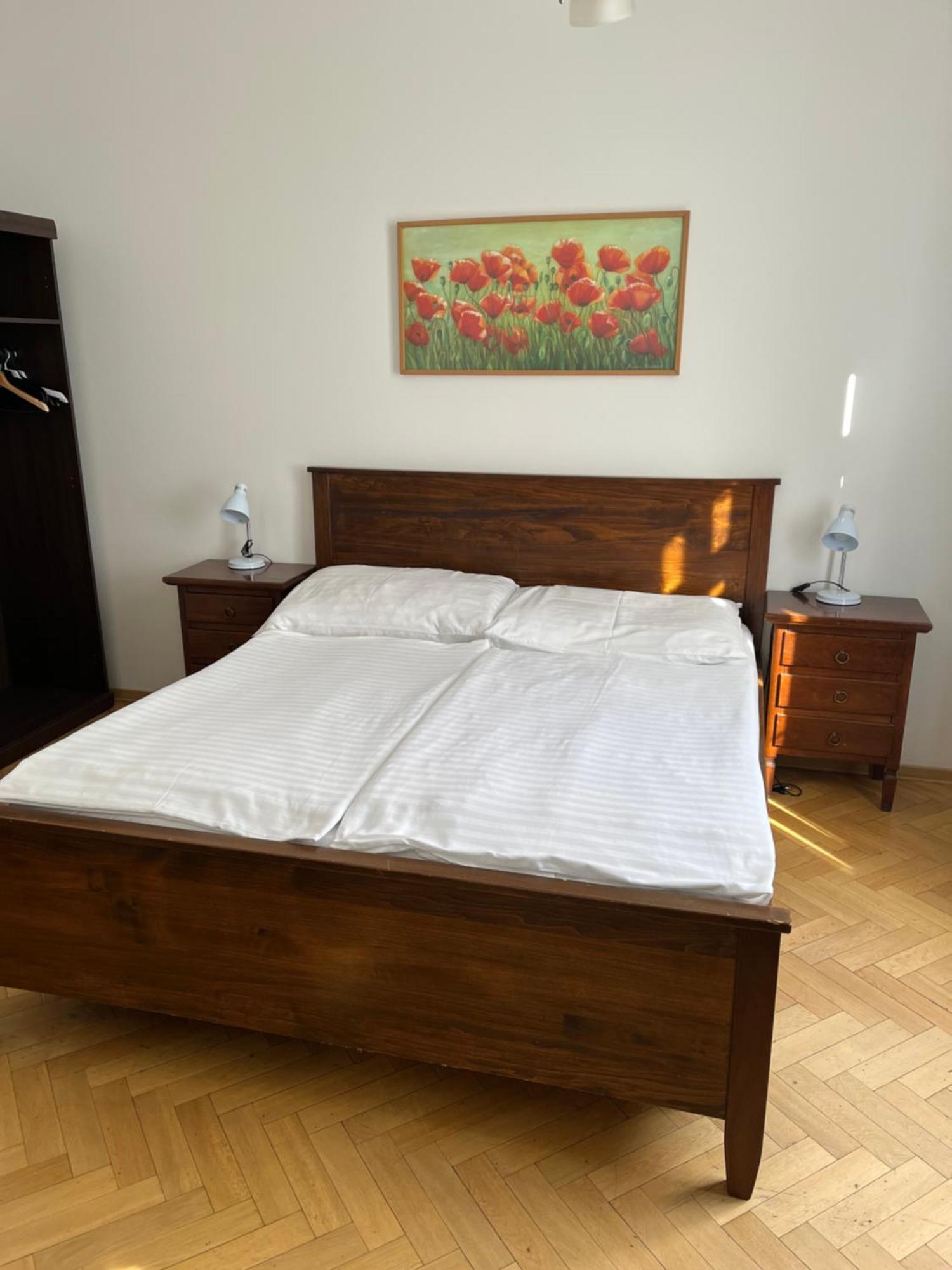 U Vejvodu Apartment *